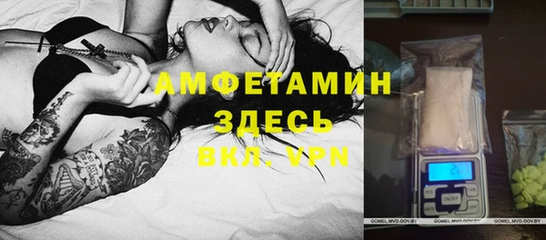 крисы Слюдянка