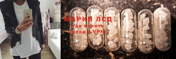 шишки Баксан