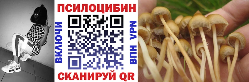 площадка телеграм  Судак  Галлюциногенные грибы мухоморы  что такое наркотик  мега как войти 