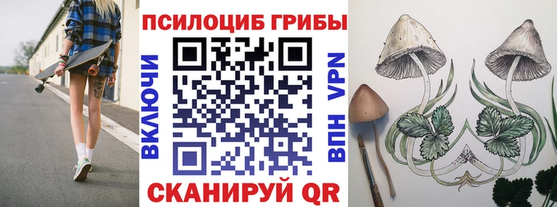 Псилоцибиновые грибы ЛСД Судак